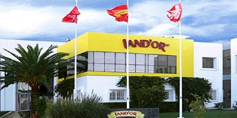 Land'Or - Une croissance du chiffre d'affaires de 21% à fin Décembre 2021