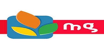 Magasin Général - Le groupe essuie une perte sèche de 13,265 MDT au 31 Décembre 2019