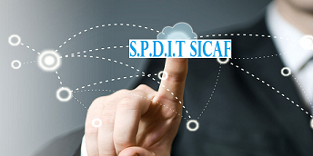 SPDIT-SICAF - Hausse du résultat net de 19% en 2024