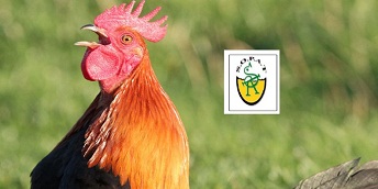 SOPAT - La société tiendra son AGO le Mardi 04 Décembre 2018