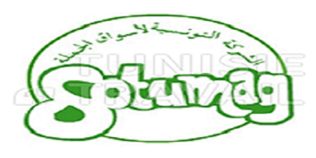 SOTUMAG - Mme Faten BEL HEDI nommée PDG  de la SOTUMAG